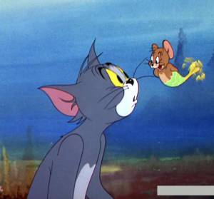   - The Cat and the Mermouse   