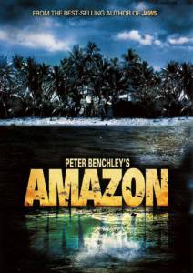    ( 1999  2000) Amazon 