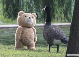   2 Ted2  