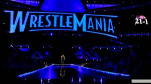   WWE  30 () / WrestleMania XXX / (2014) 