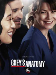    ( 2005  ...) Grey's Anatomy  