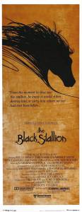     / The Black Stallion - (1979) online