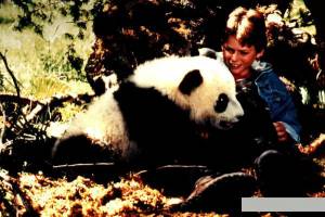     The Amazing Panda Adventure   