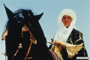     (-) - Il principe del deserto / [1991 (1 )] 