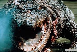   - Killer Crocodile / [1989] 