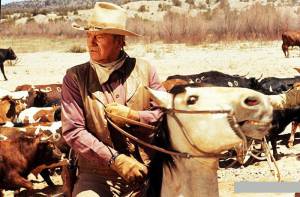    The Cowboys (1972) 