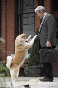  :    / Hachi: A Dog's Tale 