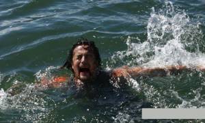    () Malibu Shark Attack   