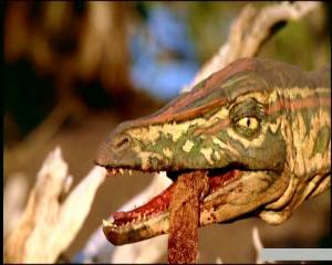 BBC:    () - BBC: Walking with Dinosaurs 1999 (1 )    
