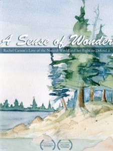 A Sense of Wonder () (2008)