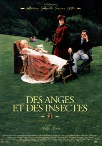      - Angels and Insects / (1995) 