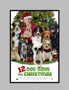    12 Dog Days of Christmas 2014 