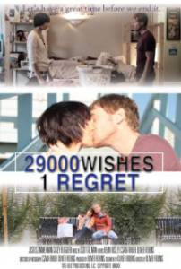   29000 , 1  / 29000 Wishes. 1 Regret.