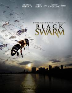     () / Black Swarm   