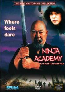    / Ninja Academy 