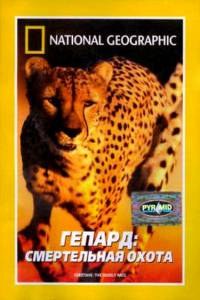    :   () Cheetahs: The Deadly Race / (2002)