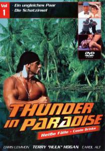      () Thunder in Paradise / 1994 (1 ) 