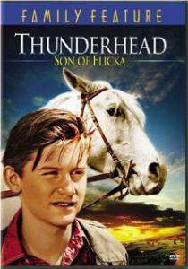        / Thunderhead - Son of Flicka - (1945) 