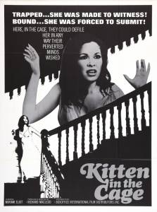   Kitten in a Cage - Kitten in a Cage  