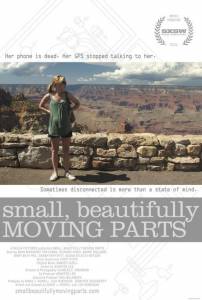   ,    / Small, Beautifully Moving Parts / (2011) 