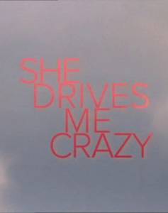 ��� ������ ���� � ��� (��) She Drives Me Crazy (2007) ������ ����� ���������