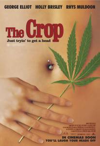  - The Crop  