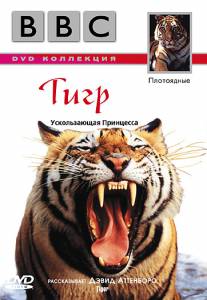   BBC:  Tiger - 1999