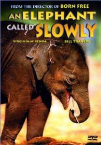  An Elephant Called Slowly An Elephant Called Slowly   