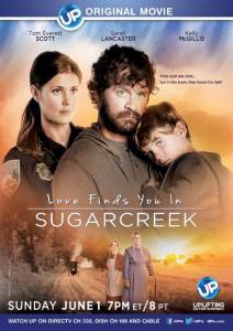 Love Finds You in Sugarcreek () (2014)