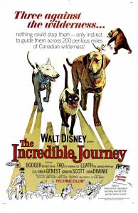      The Incredible Journey (1963) 