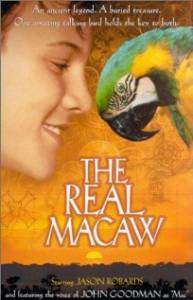   - / The Real Macaw  