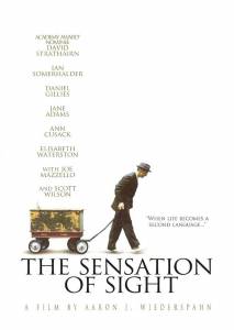    - The Sensation of Sight - (2006)   