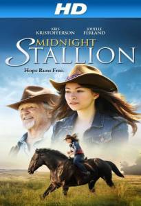    Midnight Stallion / [2013] 