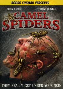    - Camel Spiders - 2011 
