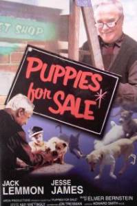    - Puppies for Sale   