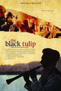     / The Black Tulip 
