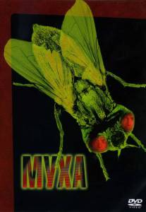    / The Fly 
