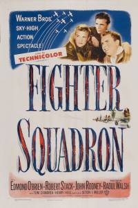     Fighter Squadron 