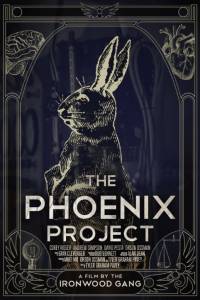     / The Phoenix Project 