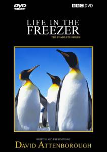      () Life in the Freezer / (1993 (1 )) online