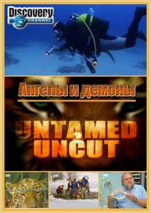      ( 2008  ...) / Untamed & Uncut / (2008 (3 )) 