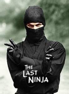    () / The Last Ninja - (1983)  