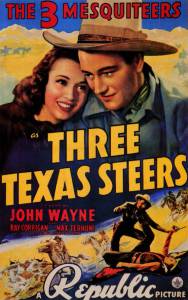      / Three Texas Steers 