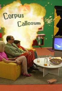    - *Corpus Callosum - 2002   