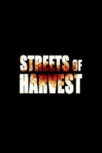     / Streets of Harvest 2015