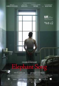     Elephant Song 2014 