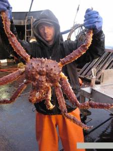     ( 2005  ...) - Deadliest Catch  