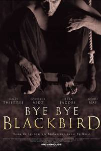   ,   Bye Bye Blackbird